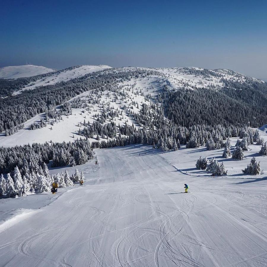 Ski & Spa Apartment N34 Milmari Resort Kopaonik Exterior photo